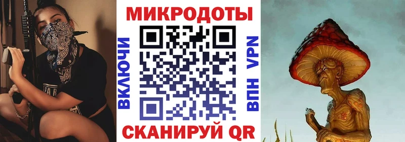 Псилоцибиновые грибы Psilocybe Приозерск