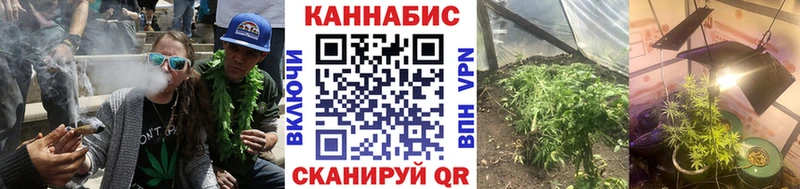 Бошки марихуана Bruce Banner  blacksprut ССЫЛКА  Приозерск 